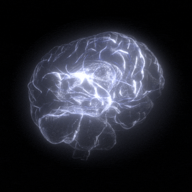Neural Network